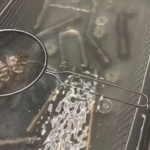 instrumentos musicales reparaciones